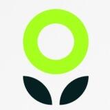 Openseed 🌱 Verification