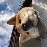 独行日记