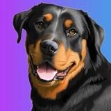 Rottweiler Portal