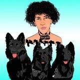 🇨🇳DOG DADDY SOL|ETH GEMS 🇦🇺