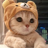 BY