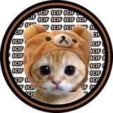 CATWIFHAT