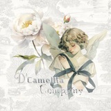 𓍯 ִֶָ 𝓓'Camellia 𝓒ompany