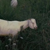 马尼拉生活碎片🐏