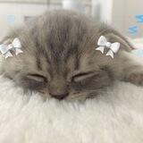 cute♥.