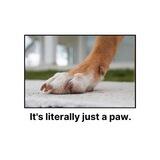 Dog's Paw on Concrete Portal