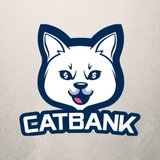 🔐 CatBank Chat Access