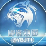 野豹集团｛官方频道｝