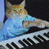 $KEYCAT - Keyboard Cat - Entry