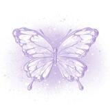 PURPLE PARADISE
