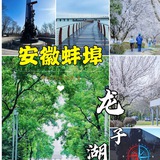 蚌埠-淮南🌙电报大本营