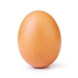 Just Egg on SOL