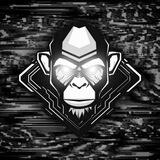 Insta Ape | Portal