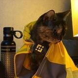 Binance Cat $MOIRA