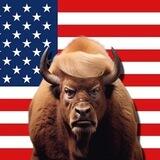BULL TRUMP