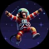 Albert II - Chimp On Sol