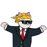 $Cat-SolStreetCats
