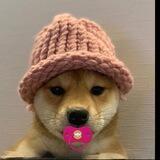 Baby dogwifcoin | community