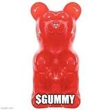 GUMMY PORTAL