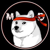 Manic Doge: Born August 2023 from Blood Sweat & Memes