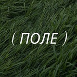 ПОЛЕ ВАКАНСИЙ