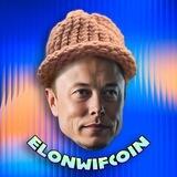 elonwifcoin | CMC & CG