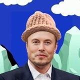 ElonMuskWifHat Pinksale Launch