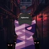 FighterCatToken on Solana