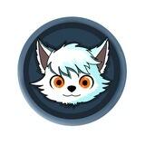 RIKI COIN - NEW