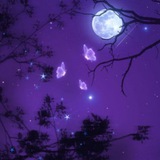 PURPLE NIGHT
