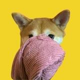 $dogwiftowel PORTAL