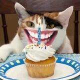 MUFFINcto