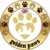 Golden Paws Chat - Official Group