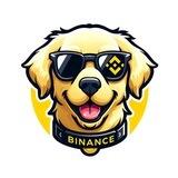 Binance Dog - CTO