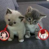 :3