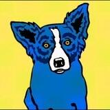 Blue Dog | Community