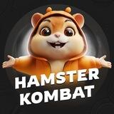 گروه همستر کامبت | چت فارسی Hamster Kombat