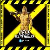 CECE STOREHOUSE 2