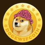 dogewifcoin - The Dogwifhat Killer