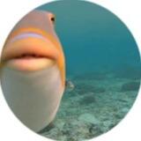 BLORP