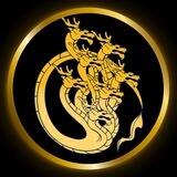 HYDRA - MULTICHAIN TOKEN