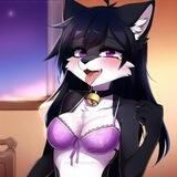 $PUSSY PORTAL