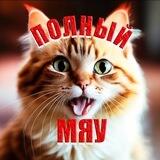ПОЛНЫЙ МЯУ 🐾