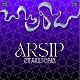 ARSIP STALLIONS