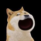 Popdog Verify