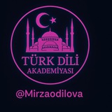 Türk tili Akademiyasi.
