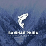 ВАЖНАЯ РЫБА -Волгоград_forel🦈