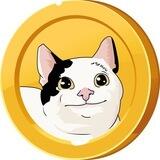 LMEOW Token Official