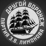 Другой Воронеж