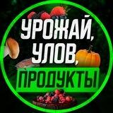 УРОЖАЙ, УЛОВ, ПРОДУКТЫ. Владивосток